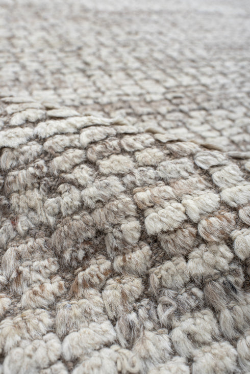 Vintage Tulu Area Rug (9' x 10')